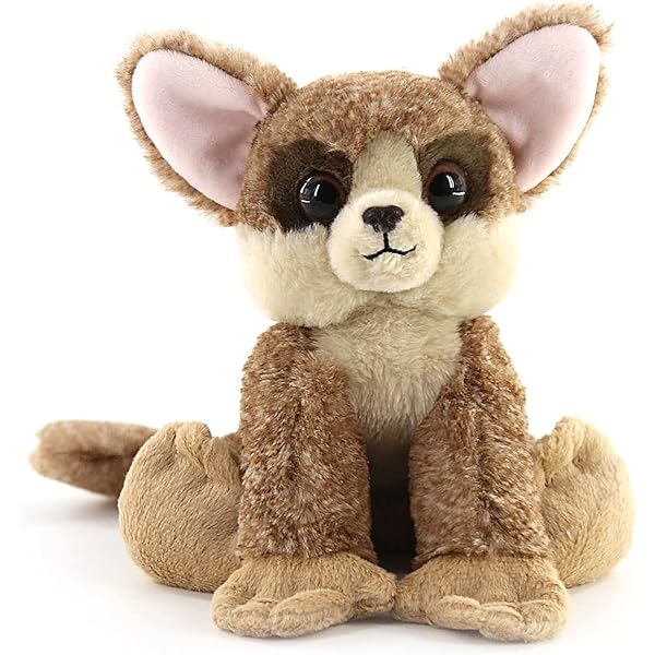 Bush Baby, Bush Baby: Garcia, Heidi, Strawbridge, John